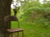 DSC08043.JPG